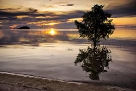 Pantai Tanjung Pendam